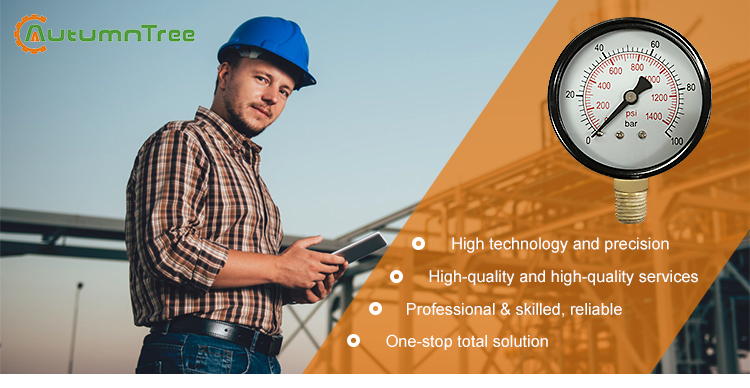 Temperature Sensor Module/Temperature Transmitter Module,Module