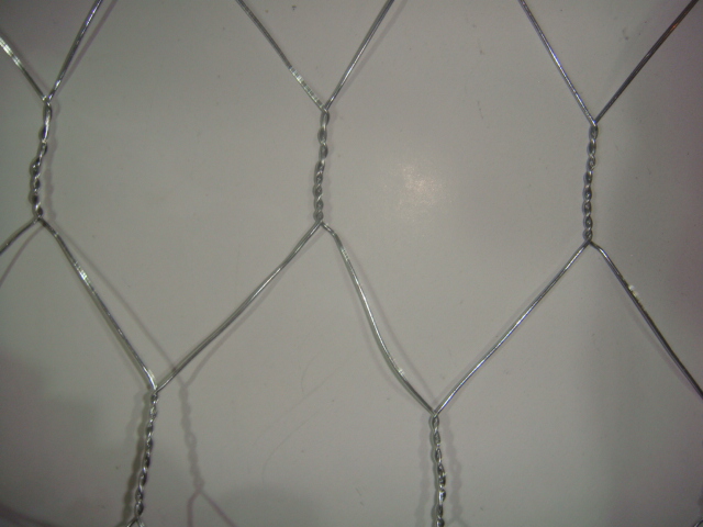 1x1 welded wire mesh