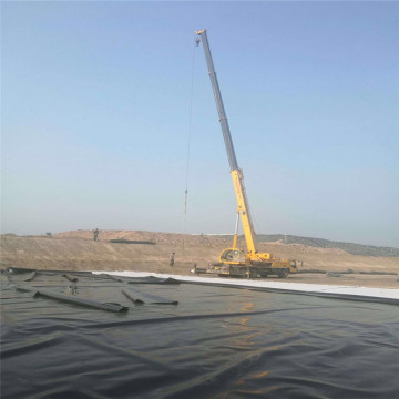 HDPE Waterproof Membrane for Construction Companies