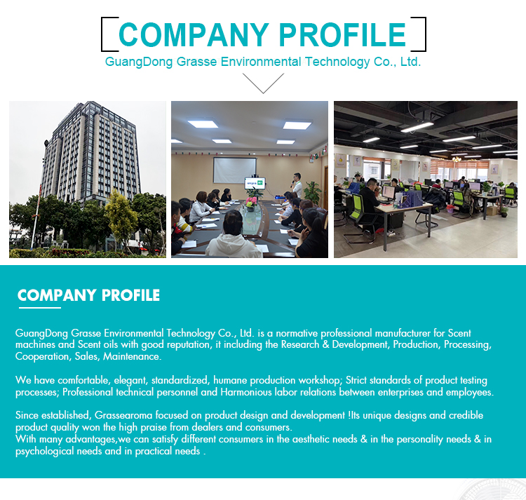 company profile