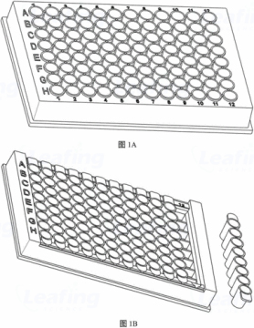 High Transparency 96 Well Detachable PCR Plates & ELISA Plates