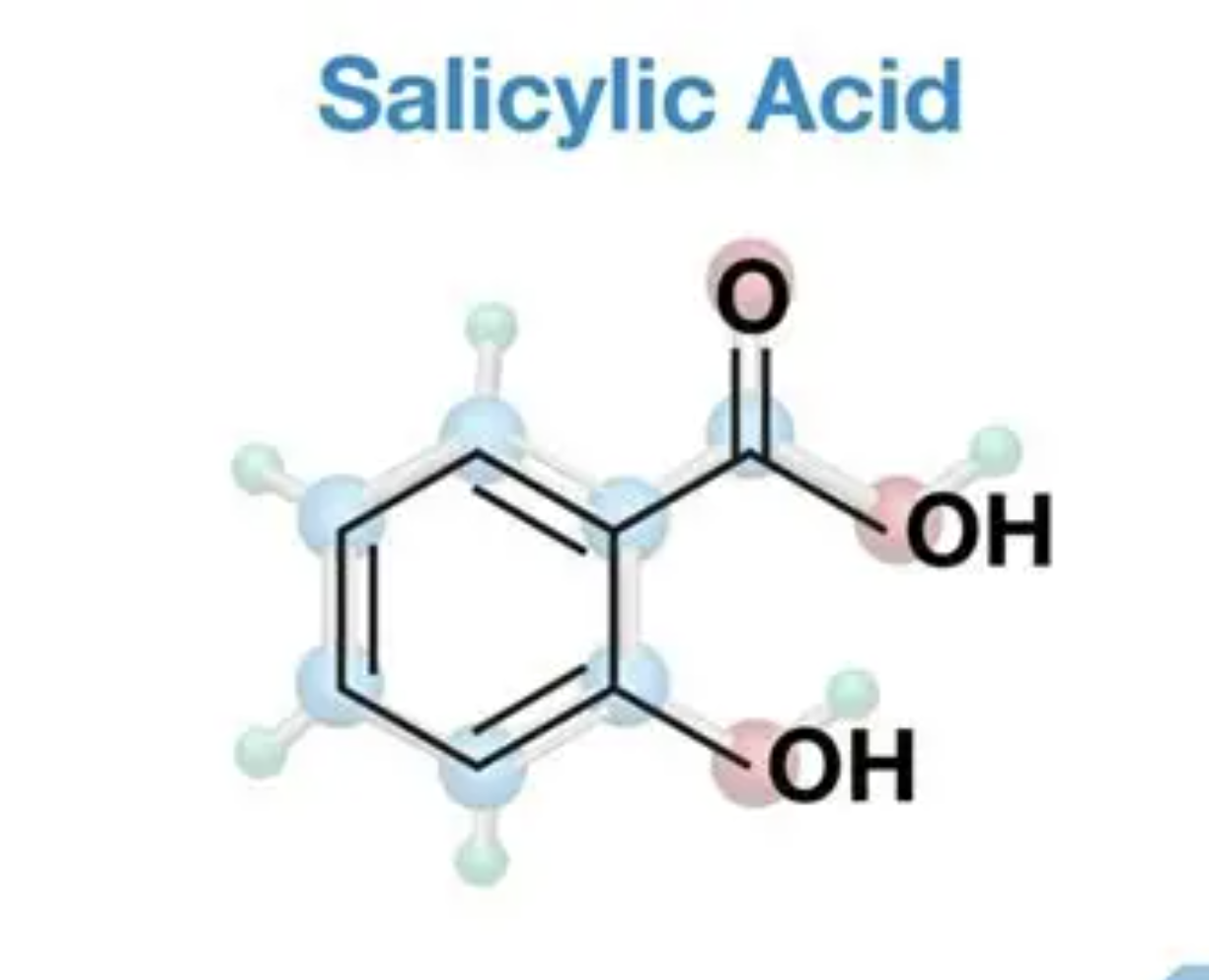 Polvo de ácido salicílico de alta pureza High Purity Salicylic Acid Powder