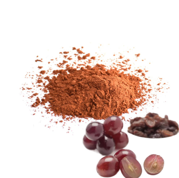 Grape Seed Extract 95% Proanthocyanidins