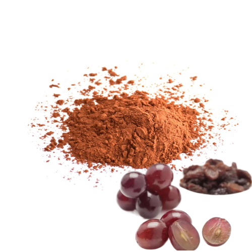 Extrait de graine de raisin 95% Proanthocyanidines