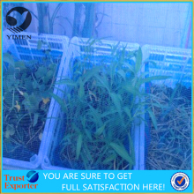 transparent Agriculture Insect Proof mesh Screen & plastic insect netting & insect proof mesh plant covers