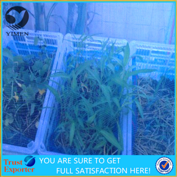 transparent Agriculture Insect Proof mesh Screen & plastic insect netting & insect proof mesh plant covers