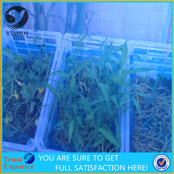 transparent Agriculture Insect Proof mesh Screen & plastic insect netting & insect proof mesh plant covers