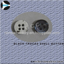 Black Trocas Shell Button?