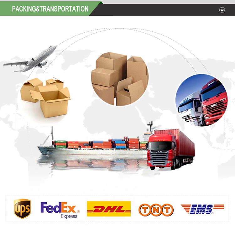 Customize Led Firecracker String Lights USB Fairy Lights Firecracker Cluster  11.5Ft 100LED Christmas Lights