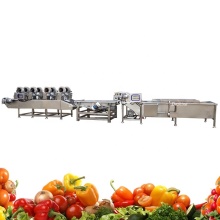 Vegetable Washing and Drying Processing Line for Fruits and Vegetables