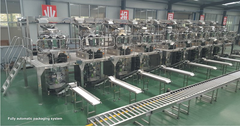 packaging system_