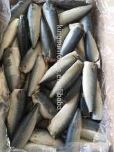 Frozen Pacific Mackerel HGT