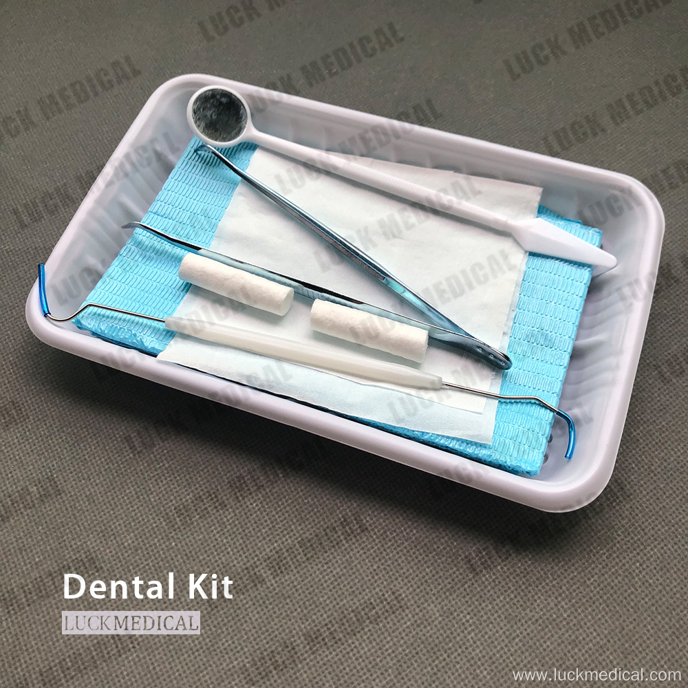 Disposable Dental Examination Kit