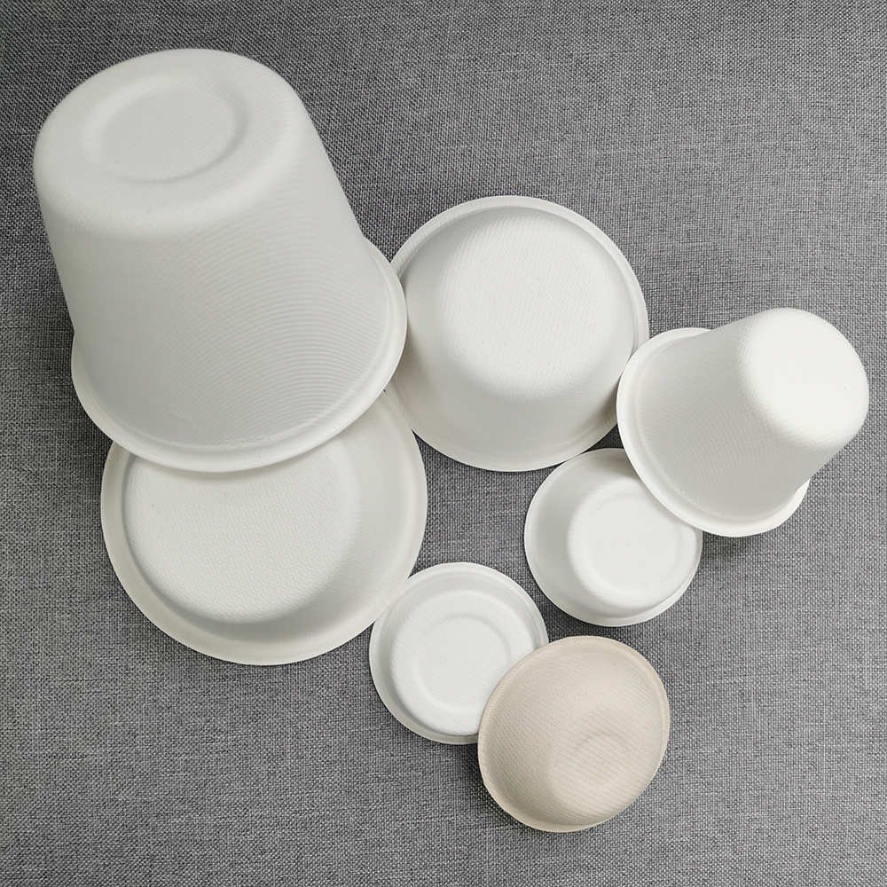 bagasse lid