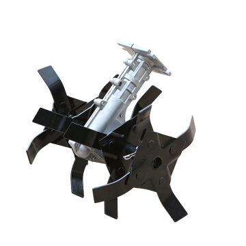 Cultivate Head: Your Path to Personal Growth