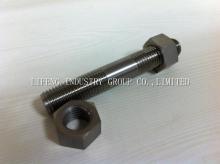 Titanium Fastener
