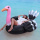 Hot sale inflatable Float funny Ostrich PVC float