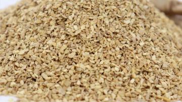 Ginger Granules Supply High Quality Dried Ginger Granules