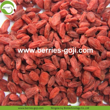 Factory Supply Fruit Nutrition Improve Eyesight Goji Berries