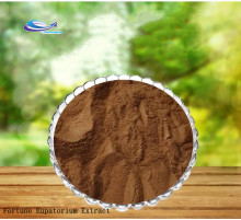 Rhizoma Arisaematis Extract P.E.10:1 Powder