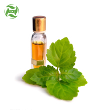 Patchouli Essential Oil Price Wholesale Uses for Patchouli Oil Perfume Free Sample
