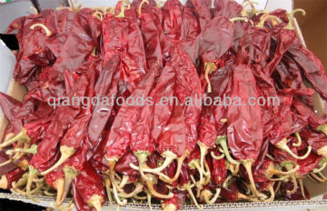 new crop clean dried red pepper