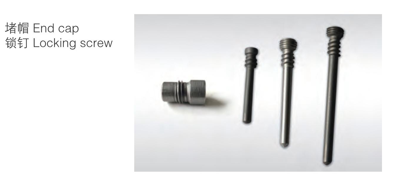 mengakhiri cao dan mengunci sekrup 2 end cao and locking screw 2