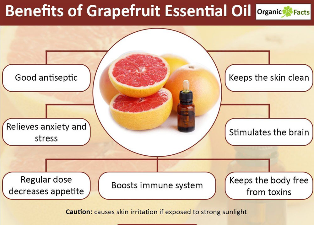 Großhandel Bio-Grapefruit ätherisches Öl Großhandel