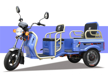 mini electric trike tricycle
