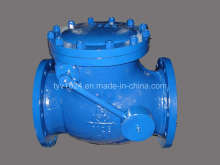CI Check Valve