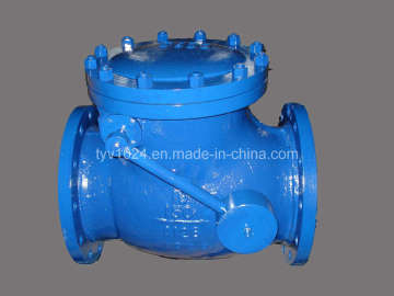 CI Check Valve
