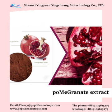 Extracto de granada Punica Granatum Extract Benefits