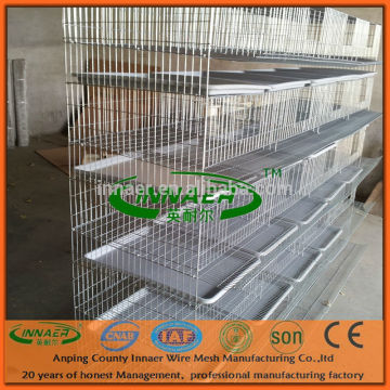 Galvanized Wire Mesh Quail Cage for Quail