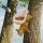다람쥐 새 피더 나무 장식 야외