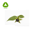 ISO9001 Medicine Grade Nature Powder Belladonna Extrato