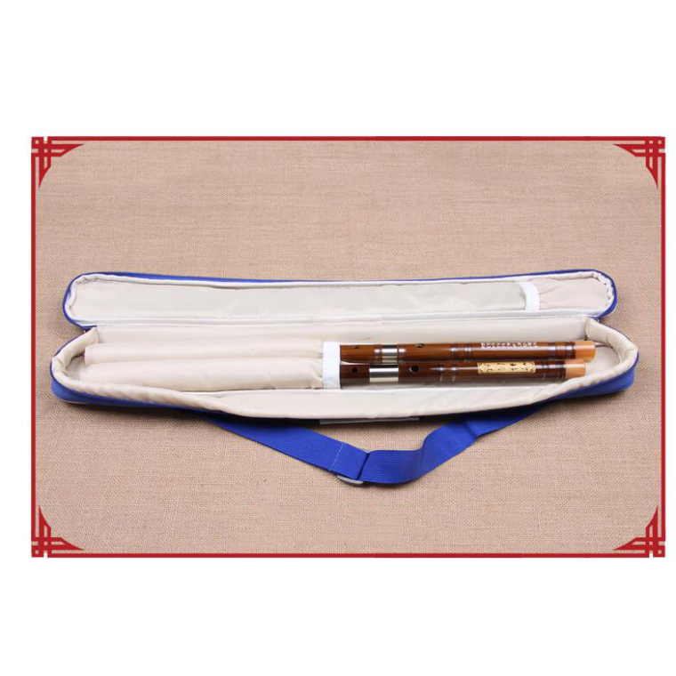 Borsa degli strumenti Instrument Bag