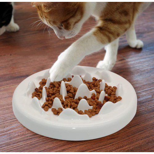 Ceramic Slow Cat Bowl