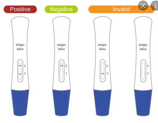 Saliva Antigen Test