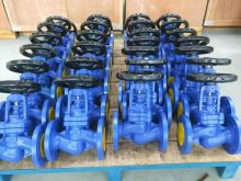 Bellows Seal Globe Valve