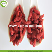 Rifornimento della fabbrica Frutto rosso Frutti di Goji