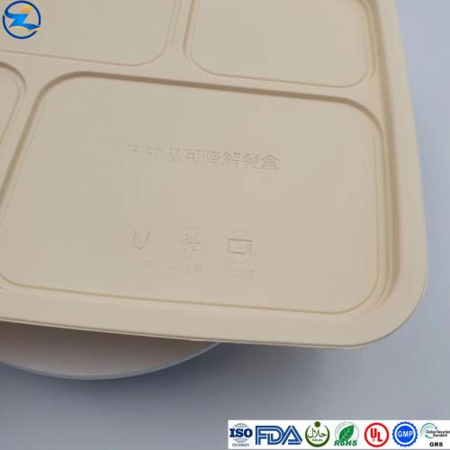 Biodegradable PLA Container for Food