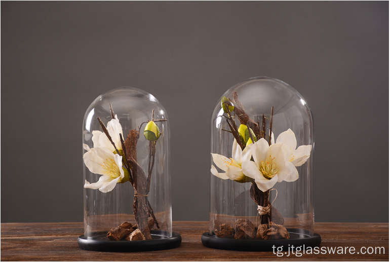 Яклухт Вуд Cloche Bell кӯзаи Flower Glass гунбаз Set