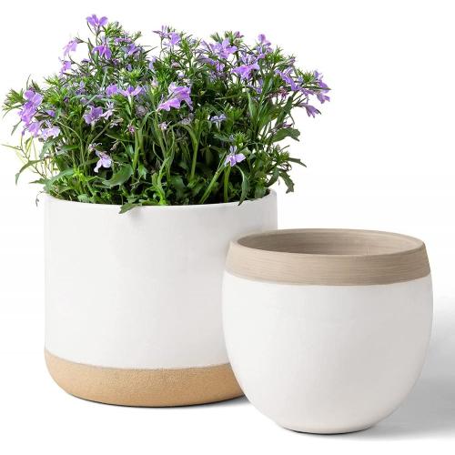 Beige Ceramic Flower Containers