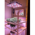 2000/3000W Full Spectrum Horticulture Lighting Grow Cob