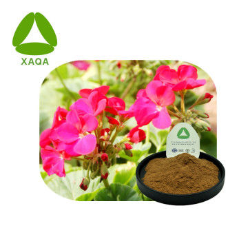 Natural Umckaloabo Pelargonium Sidoides Root Extract Powder