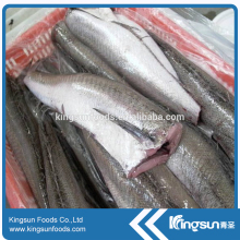 New Coming Top Quality Hake HGT