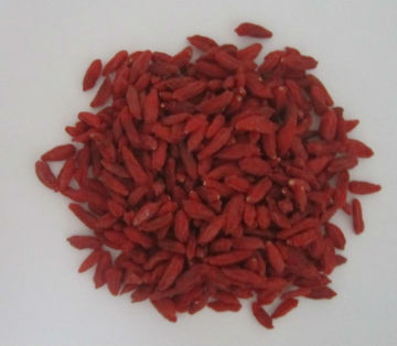 Goji , dried goji berry, goji berries