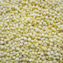 Broom Corn Millet Food