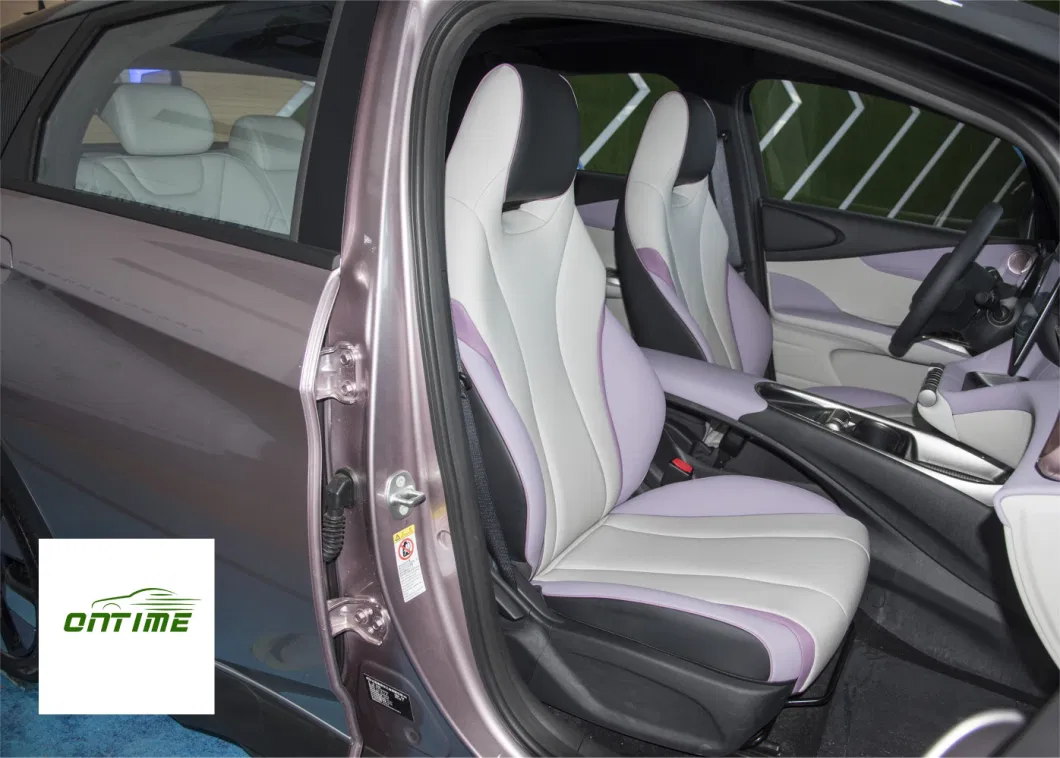 Made in China Electric Cars Dolphin for Family Use Electric Vehicle