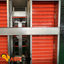 Agrieso H Type Automatic Laying Hen Feeding and Drinking Equipment